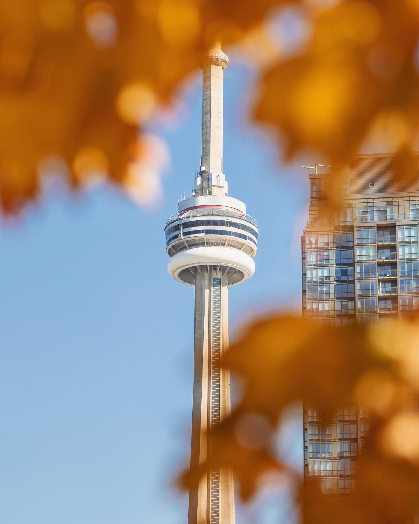 Fall colour, tower bokeh