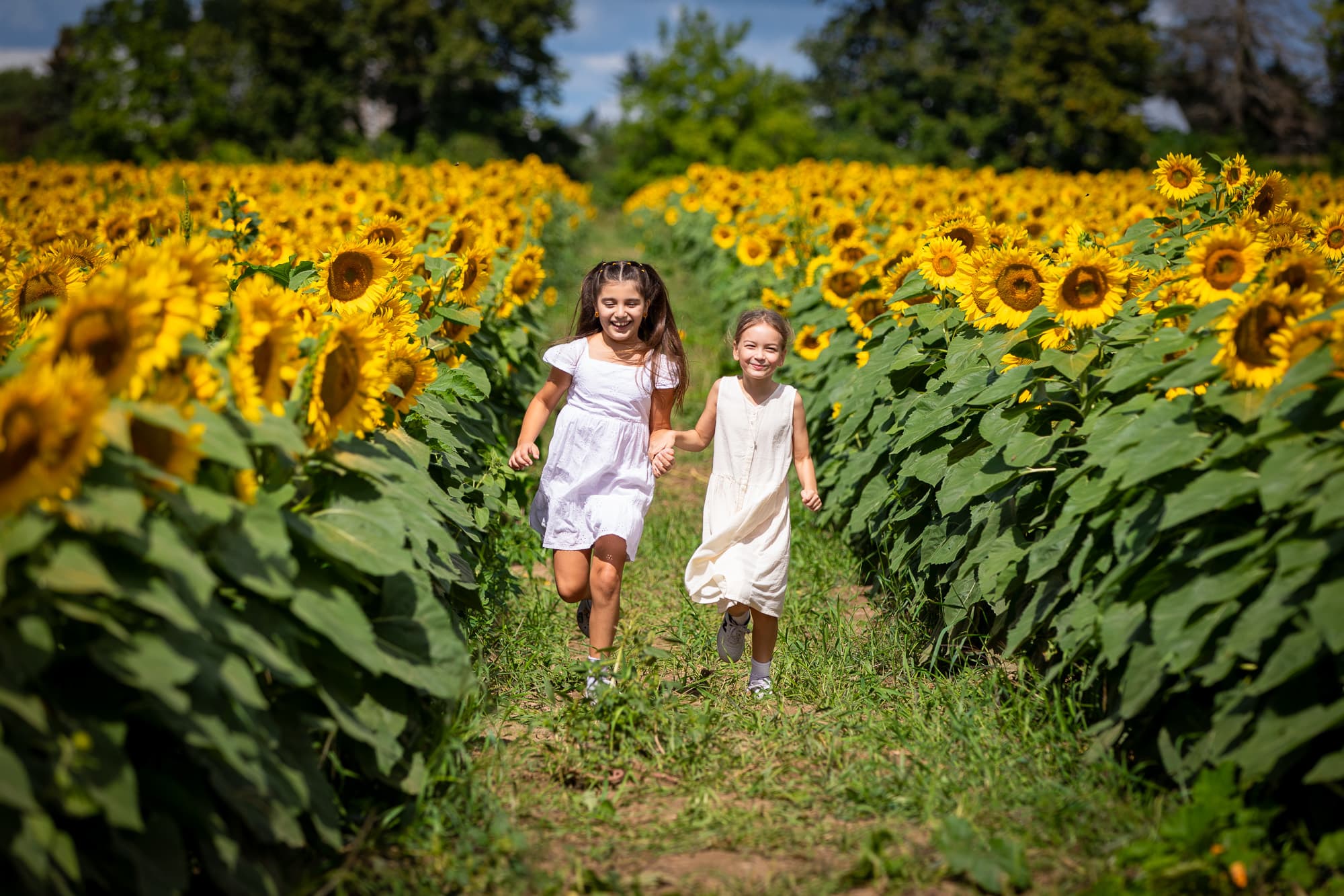 Two girls running down a row of sunflowers, laughing