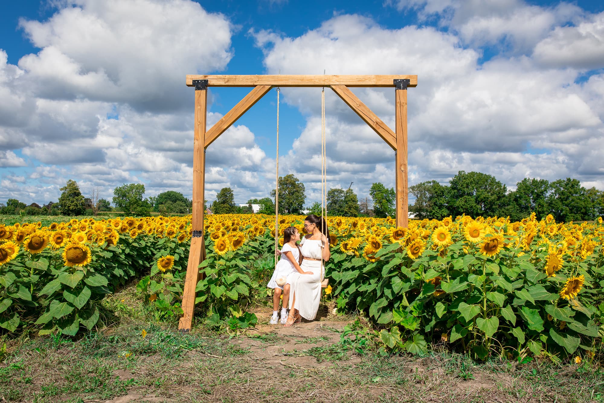 A mother and daughter on the wooden swing at the edge of the field
