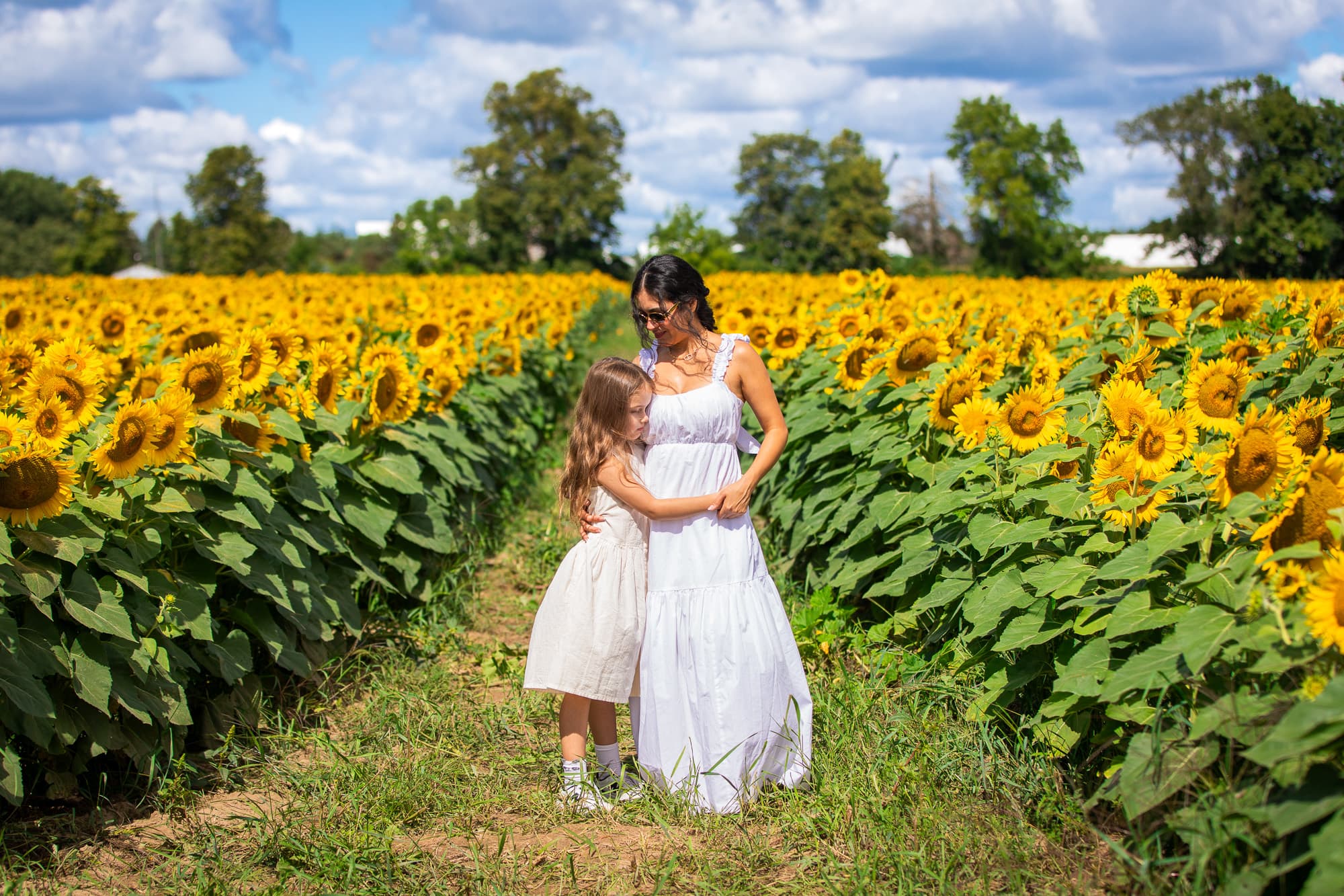 A daughter leaning into her mother between the rows of sunflowers