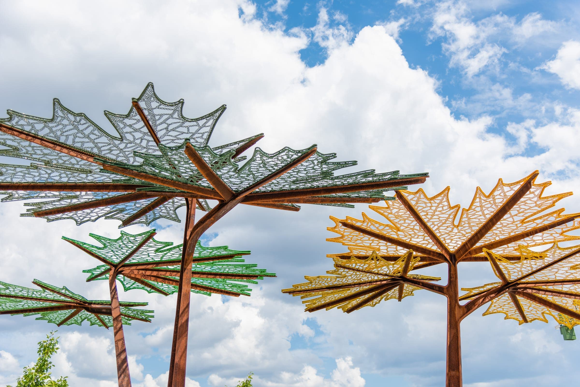 Maple canopy, public art